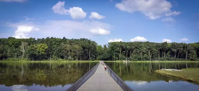 De Wijers: la ruta en bici con la que atravesar, literalmente, un lago