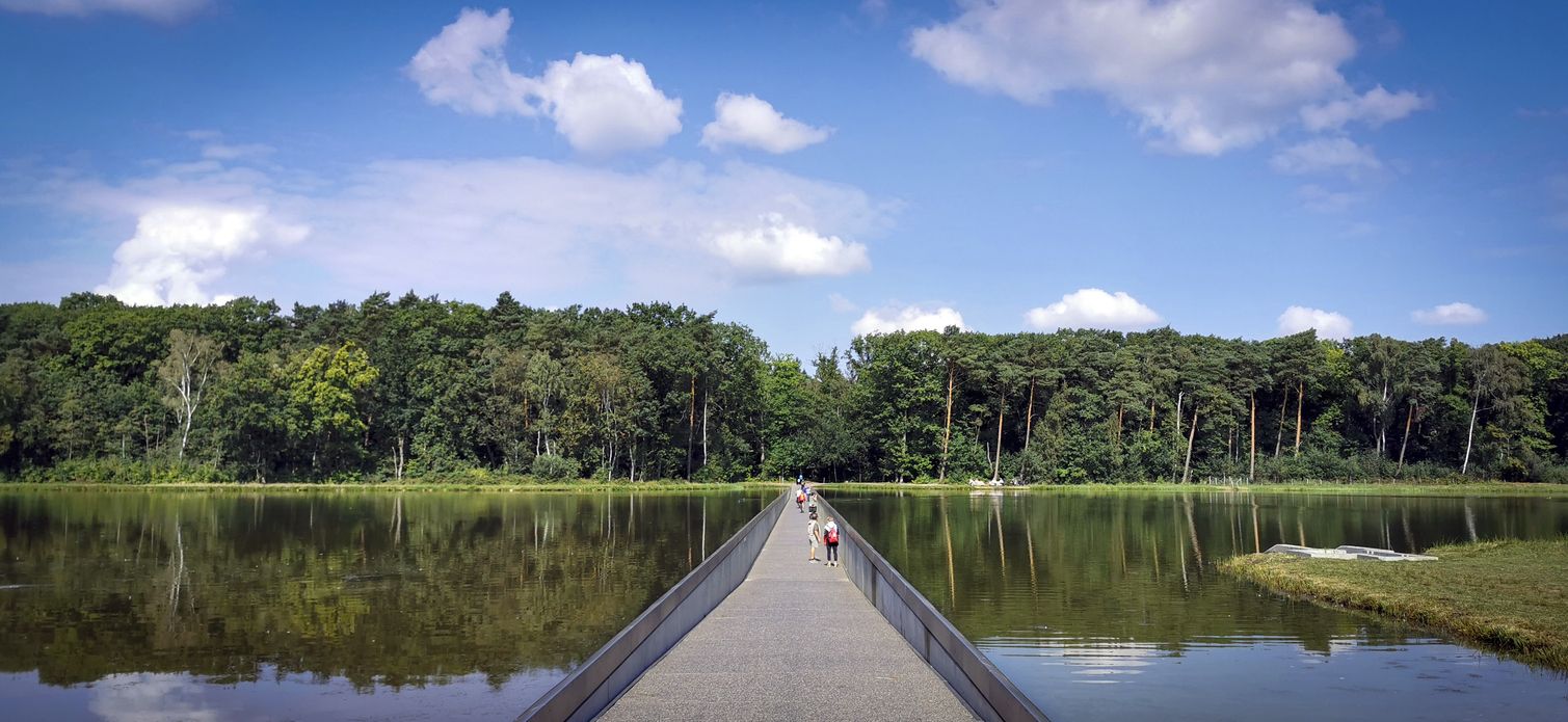 Atravesar las aguas de un lago en bici es posible en De Wijers.