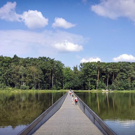 De Wijers: la ruta en bici con la que atravesar, literalmente, un lago