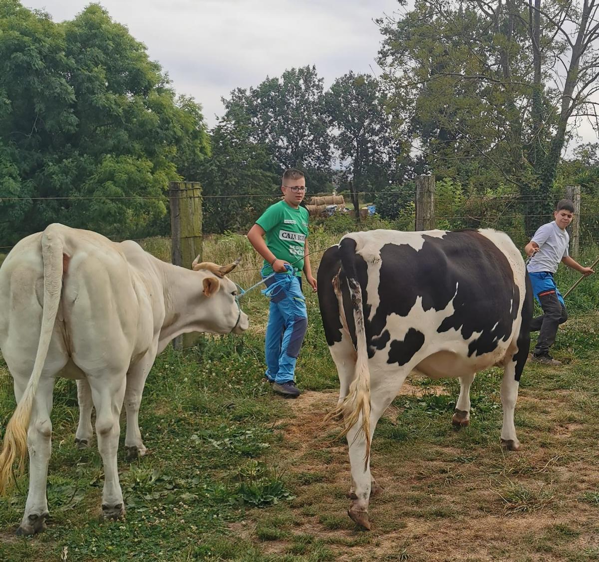 Izan y Álex con su vacas.