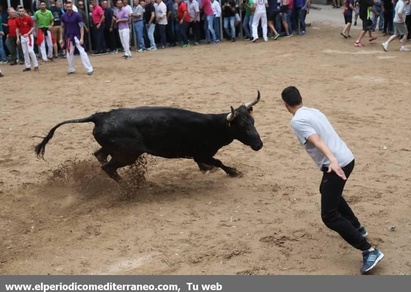 Fiestas patronales de Santa Quitèria de Almassora I