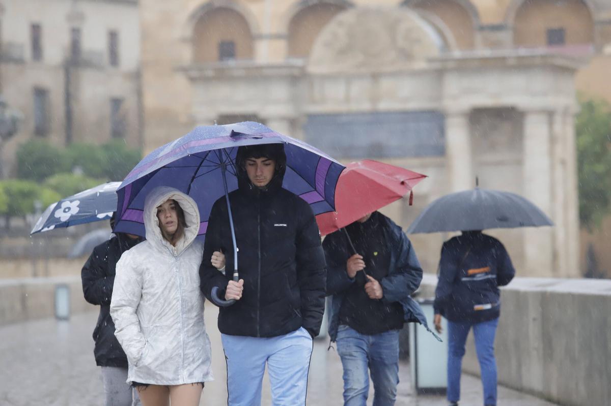El temporal de lluvia y viento, en imágenes