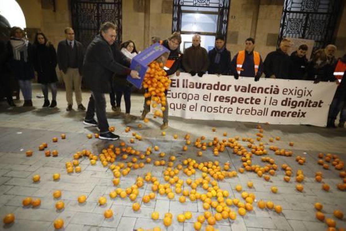 Castelló se rebela contra la peor crisis de los cítricos de las últimas dos décadas