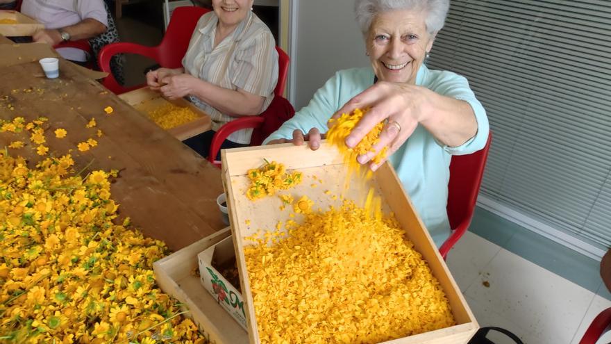 En imágenes: Así trabajan los alfombristas florales para preparar el Corpus Christi de Castropol