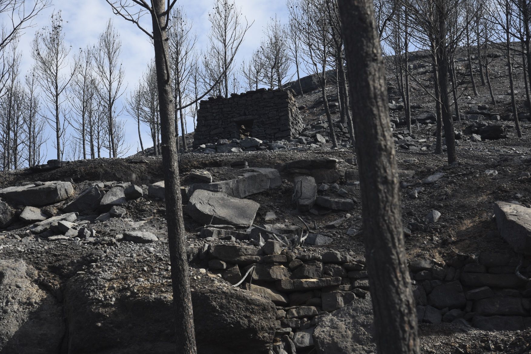 Així ha afectat el foc les tines de la Vall del Flequer