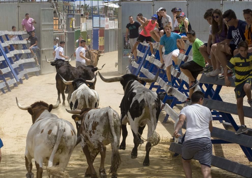 Fiestas de Sagunto. Recinto taurino.