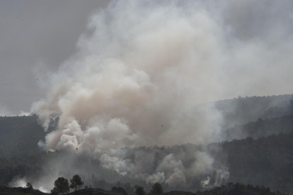 El fuego en los términos de Anna, Chella y Bolbait