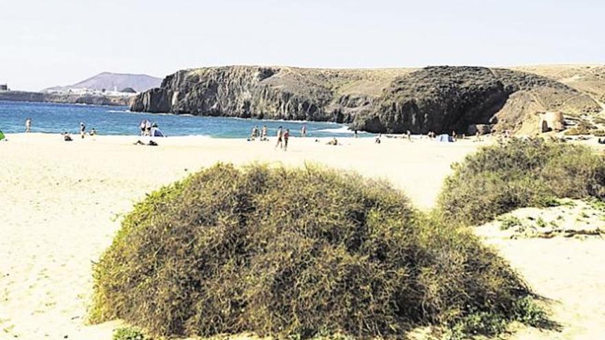 Vista de Playa Mujeres, en Papagayo, donde el consistorio de Yaiza autorizará un quiosco, hamacas y sombrillas. |