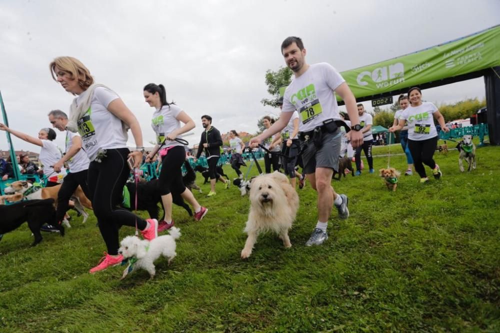 "Can We Run" reúne a más de 400 perros y corredores en el Parque Fluvial de Viesques, en Gijón.