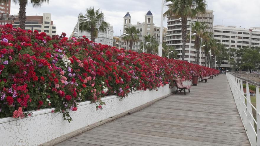 Puente de las Flores de València desde el que ha caído el aficionado.