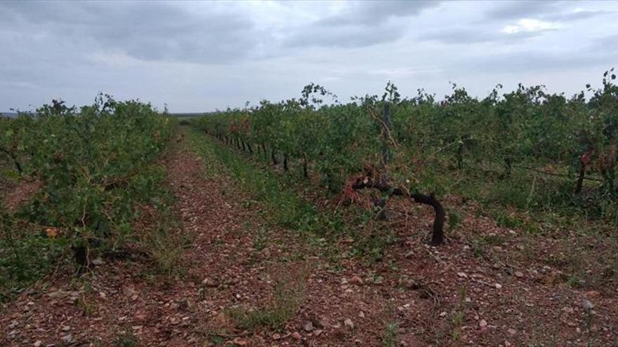 Zaragoza se recupera de la lluvia, que deja 68 litros en Trasobares