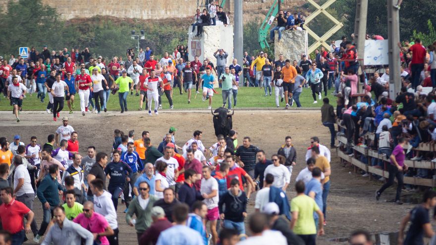 El PSOE, sobre el Toro de la Vega de Tordesillas: &quot;Hay tradiciones que no hay por qué seguir&quot;