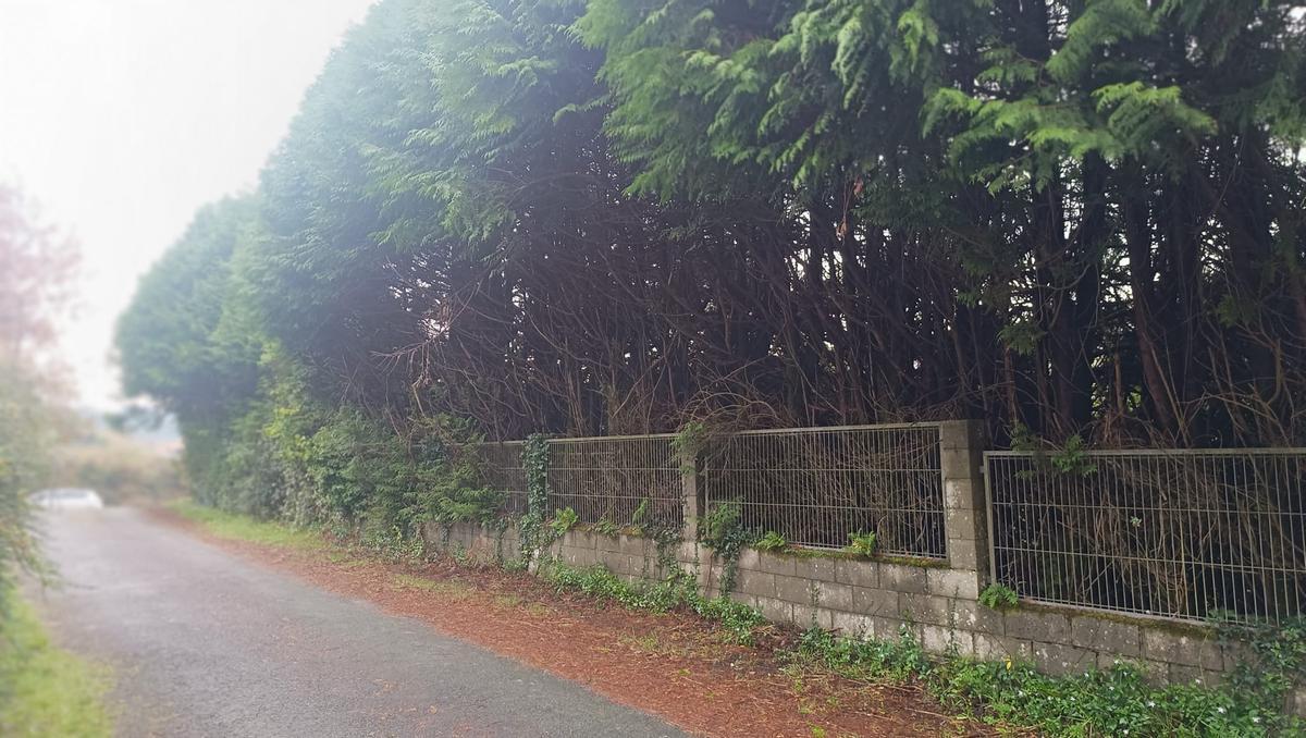 Vista trasera de la propiedad, oculta a la vista gracias a una densa arboleda