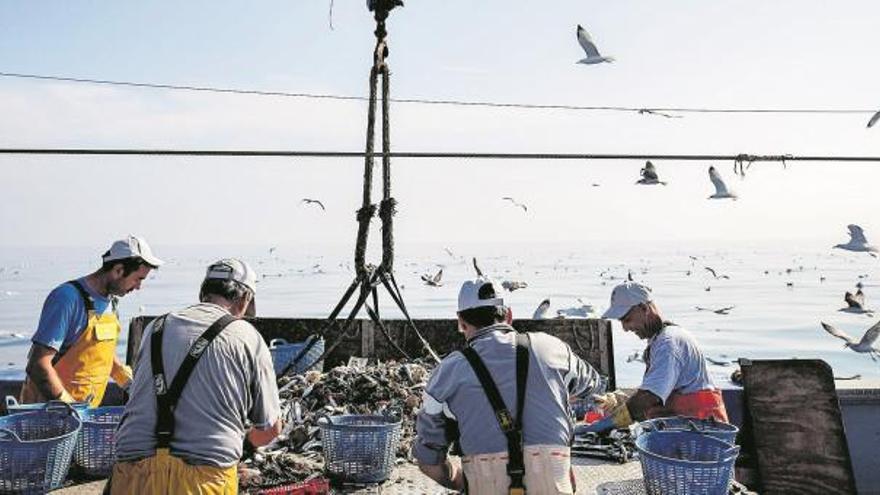 Pescadores seleccionan
  plásticos atrapados en sus
redes. levante emv