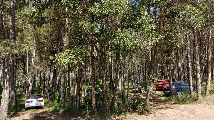 Denuncien tres conductors a la Riera de Merlès per positiu en drogues i un per alcoholèmia