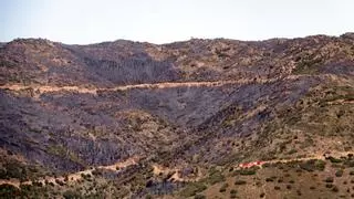 Els Bombers donen per extingit l'incendi de Portbou