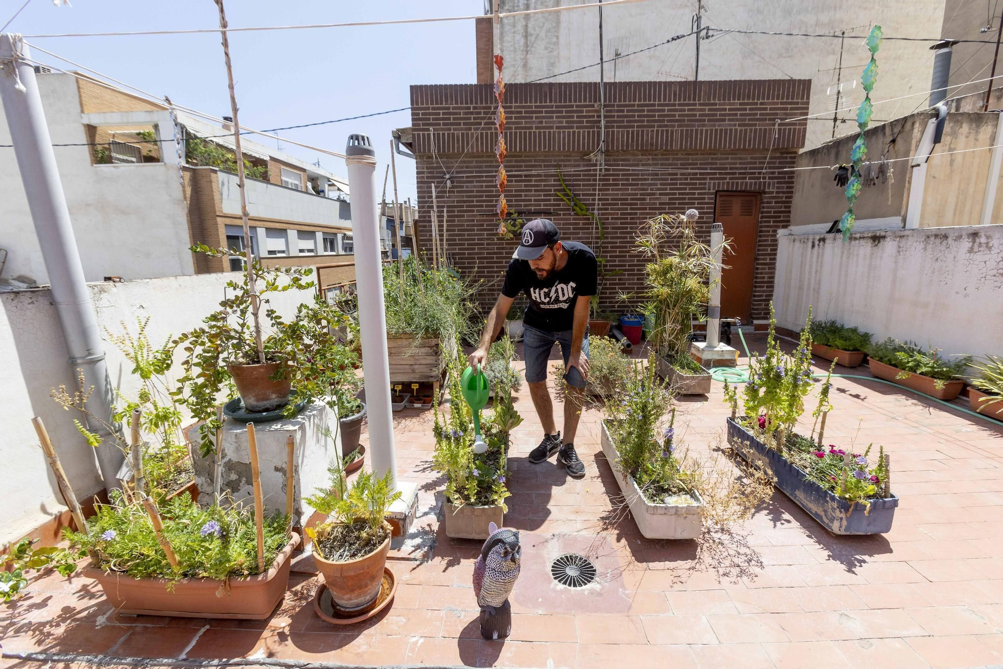 Los huertos en balcones y terrazas son ya una tendencia al alza en la provincia de Alicante