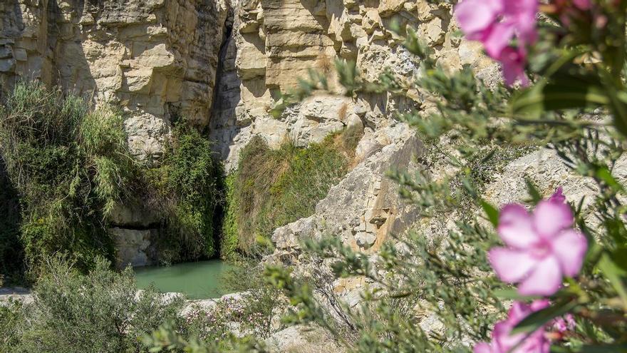 La poza natural de Xixona con un salto de agua reabre tras seis veranos de espera