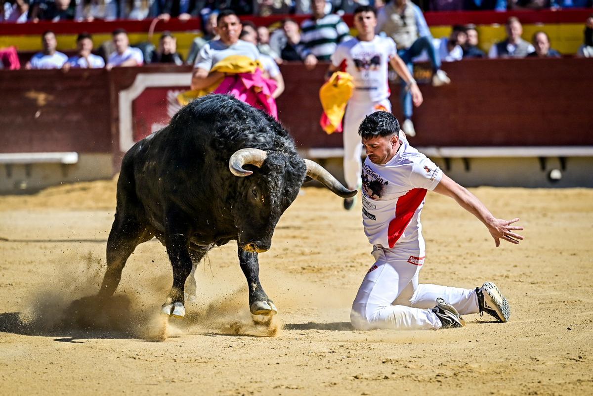 Concurso recortadores