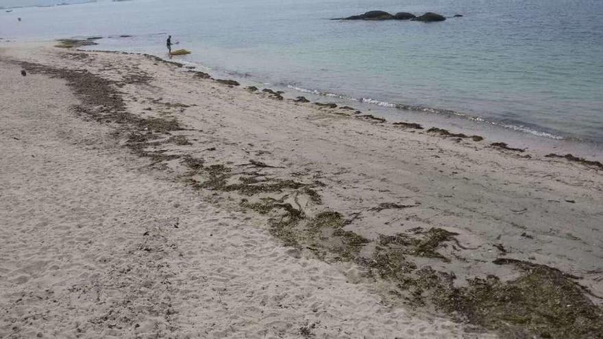 Una vista de la playa de O Con, en Moaña, que tiene bandera azul. // G.N.