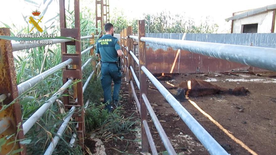 Un agente de la Guardia Civil, en la granja.