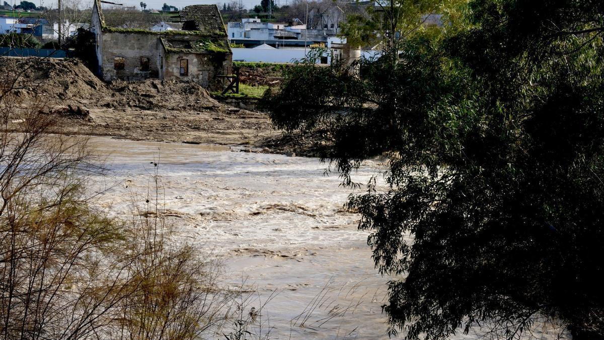 Estado de los terrenos de la Huerta del Valle, en Écija, tras el paso de la borrasca Leonardo.