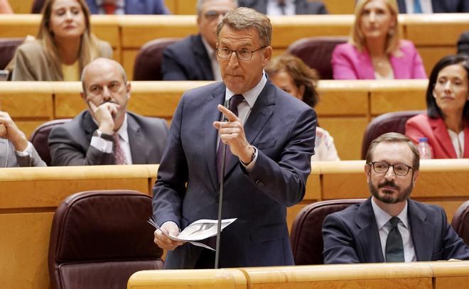 El cara a cara entre Sánchez y Feijóo en el Senado, en imágenes