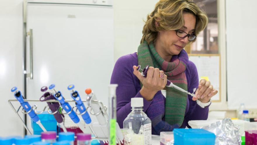 Fotografía de archivo de la profesora Teresa Giraldez investigando sobre enfermedades neuronales.