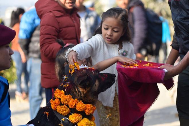 Niña le hace una ofrenda de flores a su perro en el Kukur Tihar, de Nepal