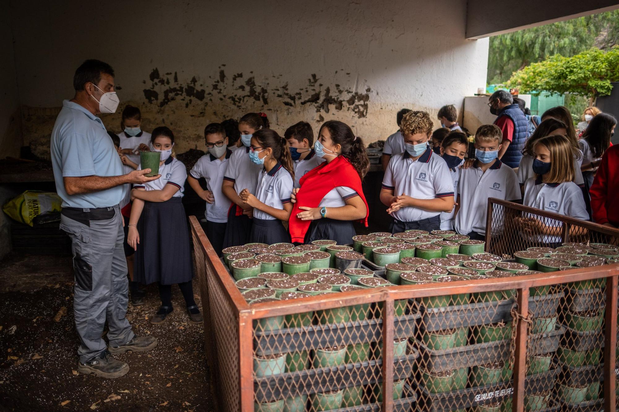 Visita a la fábrica de los jardines