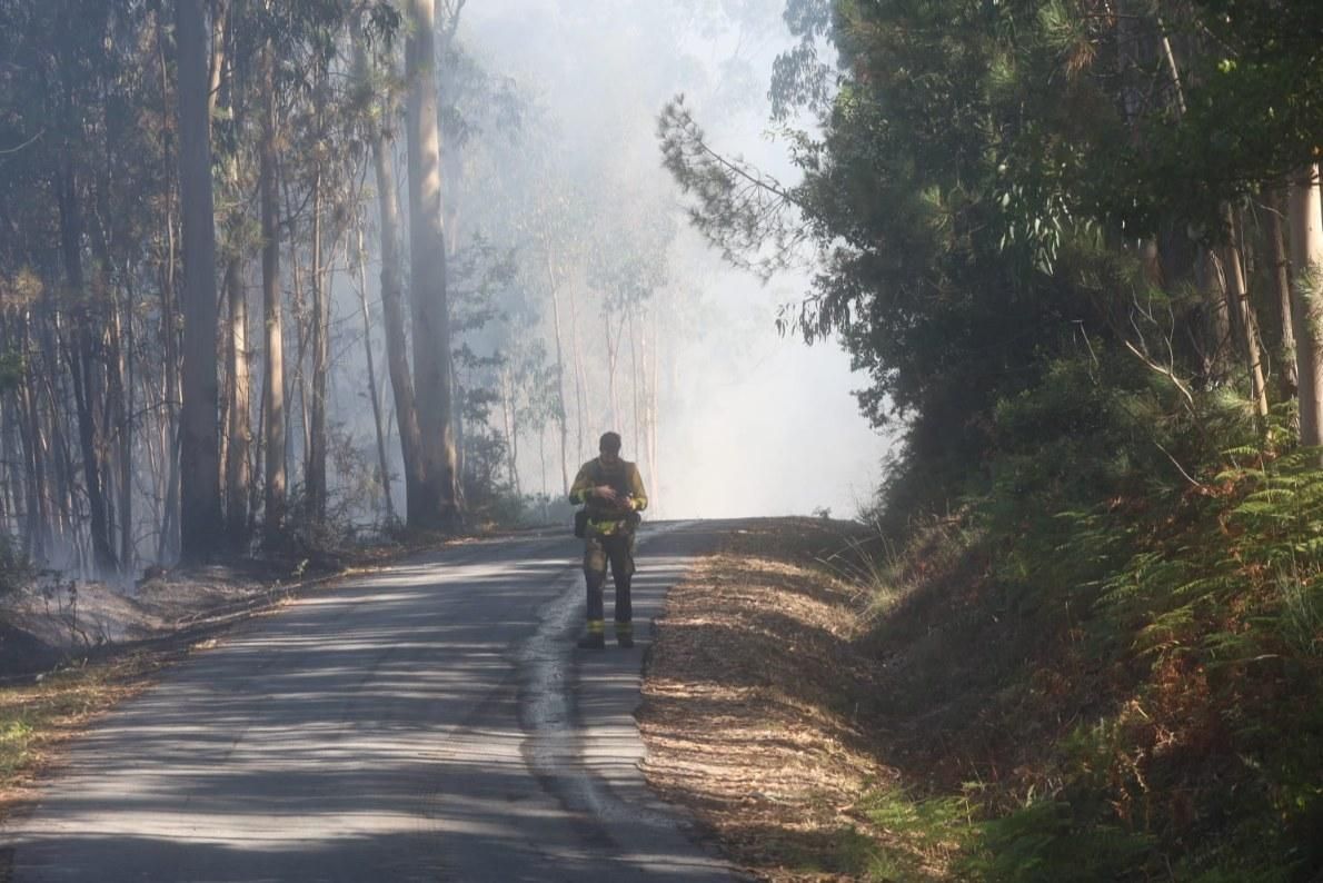 Espectacular incendio forestal en Meaño