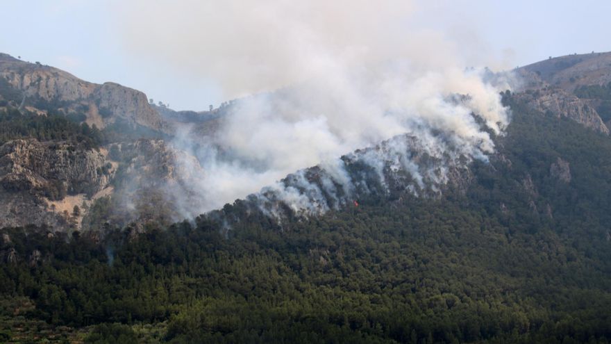 Foc a la serra de Paüls aquest dimarts a la tarda