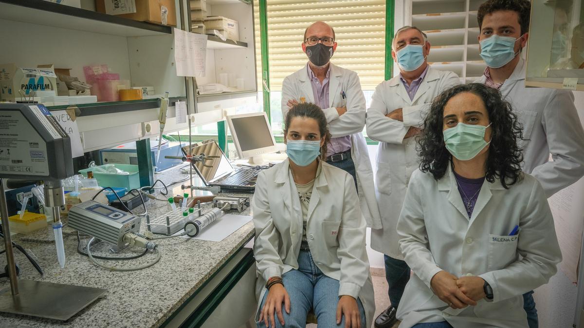 Investigadores: De izquierda a derecha: Eduardo Pinilla, Lorenzo Calvo, Juan Jesús Hidalgo, María Cerrato y Selena Carretero, en el laboratorio de la UEx.