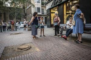 La substitució de les 514 palmeres talades a Barcelona, a l’espera que la sequera afluixi