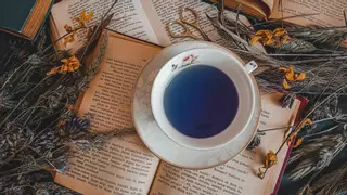 Té azul, la bebida de moda para adelgazar mientras duermes