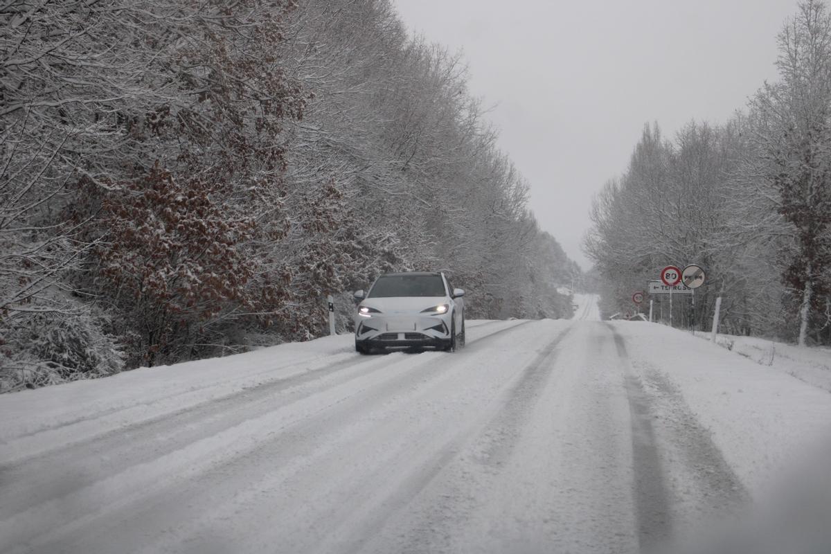 GALERÍA | Primera gran nevada del año en Sanabria