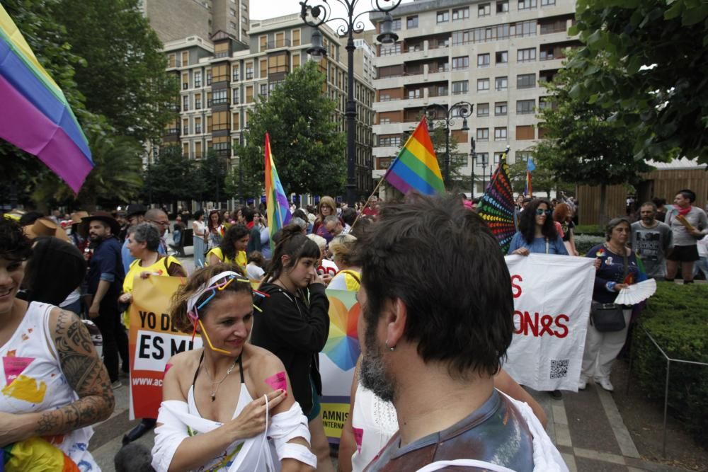 Manifestación del Orgullín del Norte.