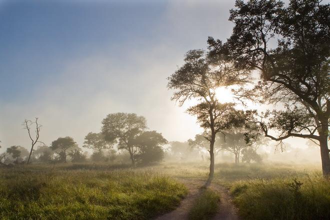 Sabi Sabi, África