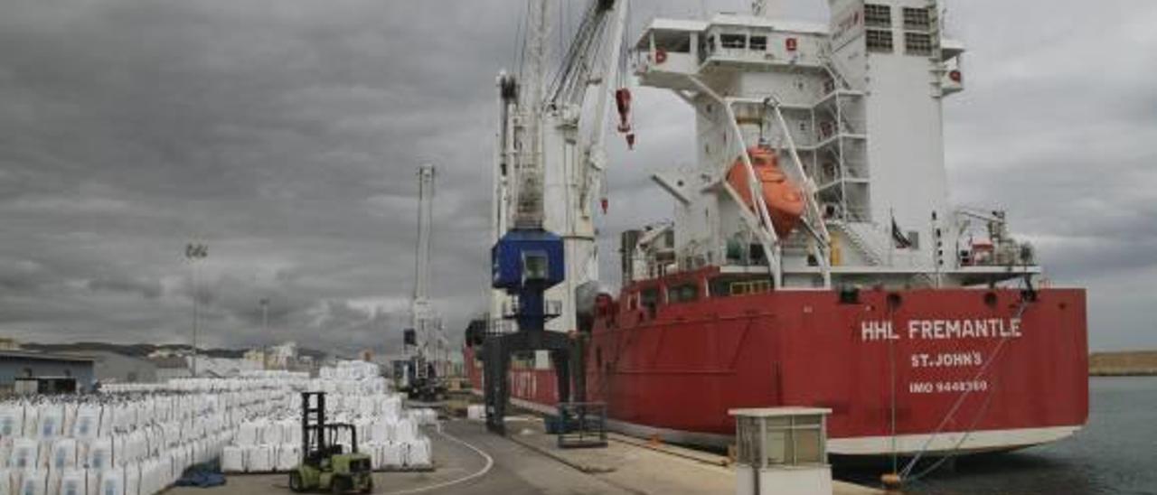 El puerto de Gandia crece un 20 % en 2015 y registra el mayor tránsito de la última década