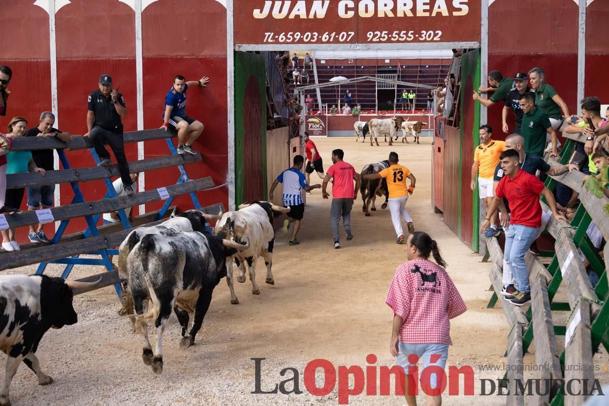 Primer encierro de la Feria del Arroz de Calasparra