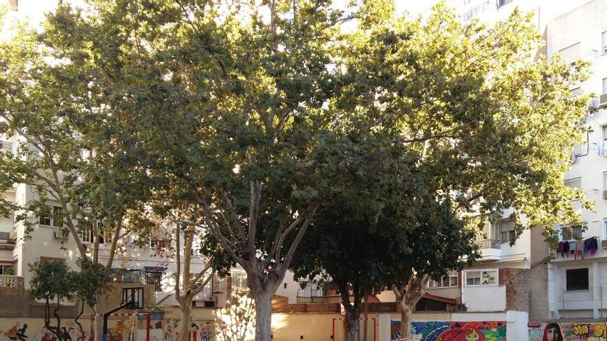 Un colegio cierra parte del patio al arrojar el vecindario botellas de vidrio a los niños