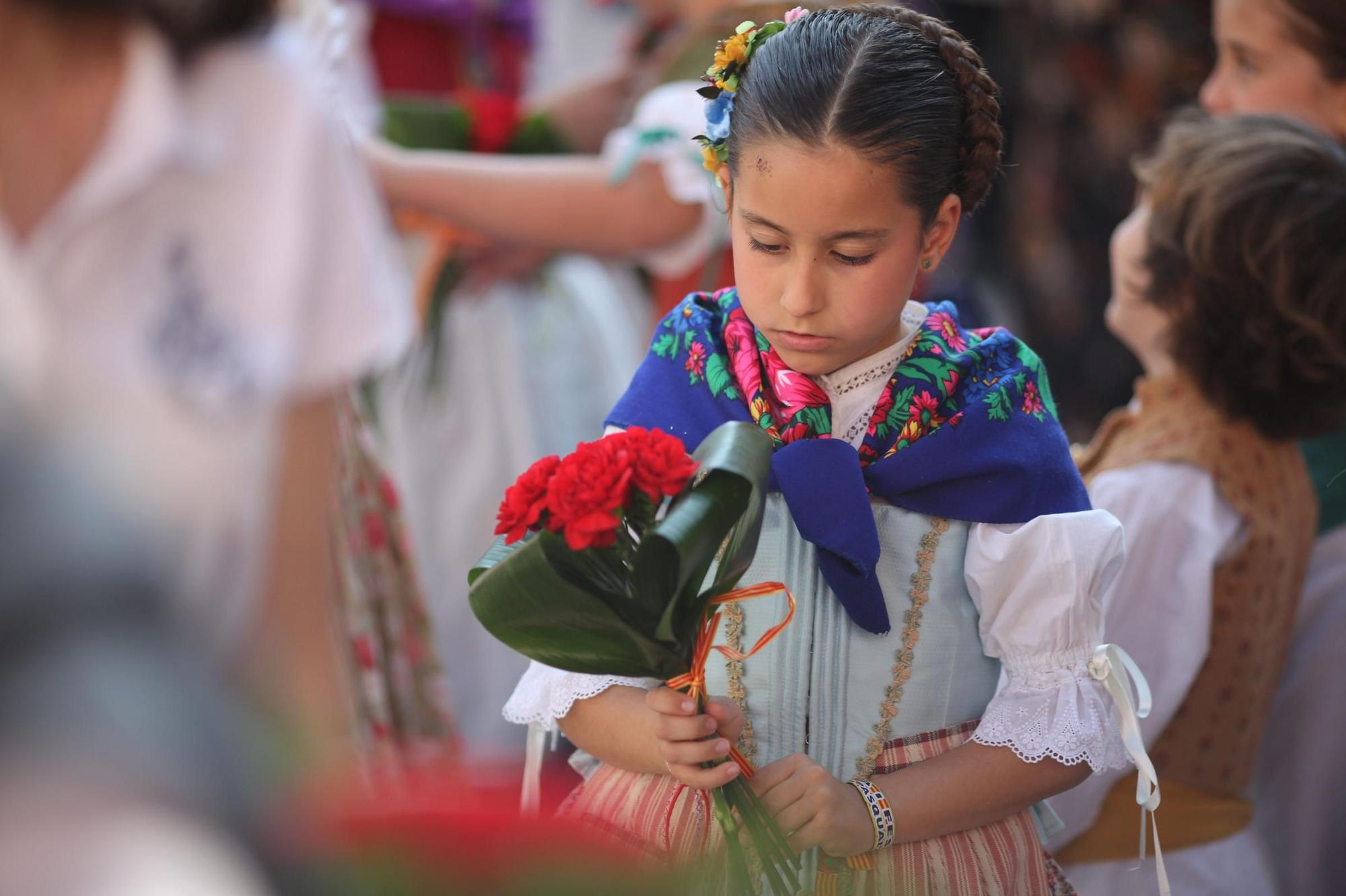 Galeria de fotos de l'ofrena de flors a Sant Pasqual en Vila-real