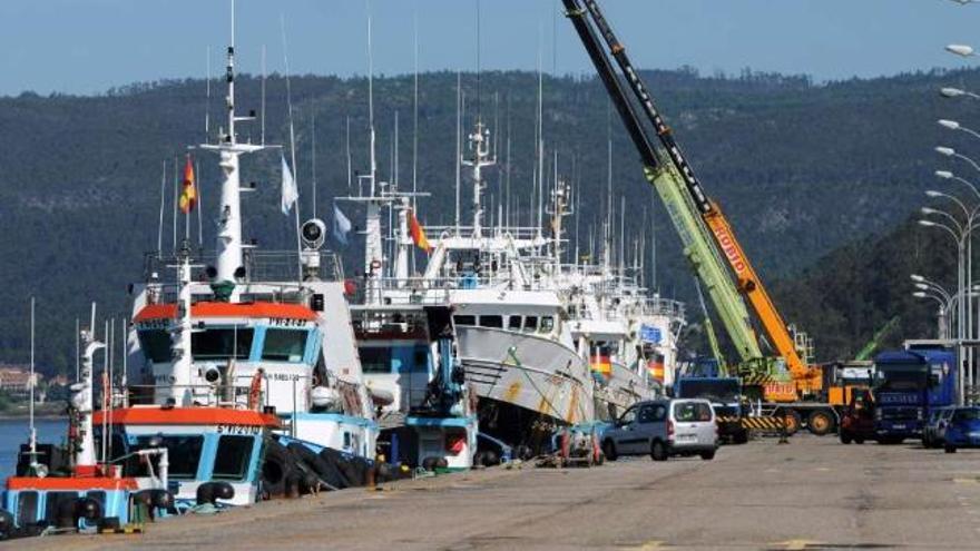 Barcos de la flota cefalopodera, armarrados en el puerto de Marín .  // Gustavo Santos