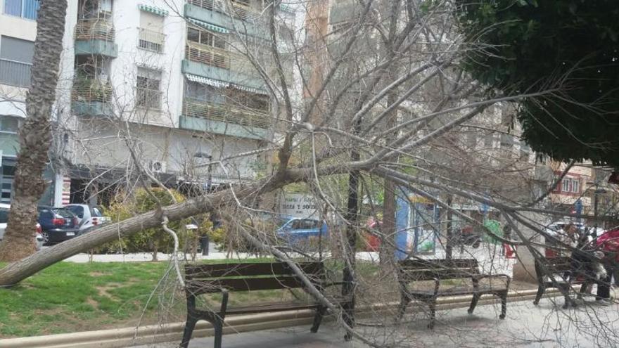 Las fuertes rachas de viento dejan dos heridos en Alicante