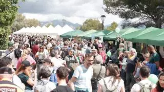 Palma celebra un concurrido y reivindicativo Diumenge de l'Àngel