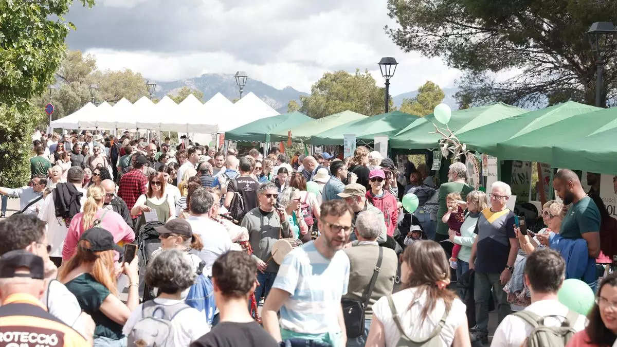Palma celebra un concurrido y reivindicativo Diumenge de l'Àngel