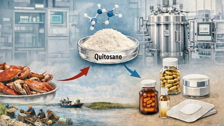 Las cáscaras de cangrejo del Guadalquivir se convierten en cosméticos gracias a una investigación de la Universidad de Sevilla