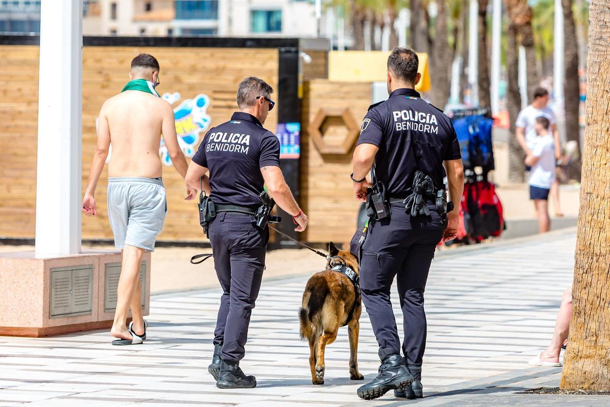 La Policía Local de Benidorm en una imagen de archivo.