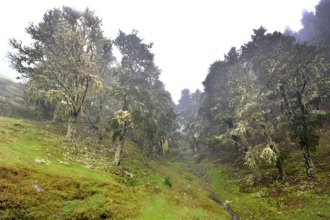 LLUVIA Y FRIO MEDIANIAS Y CUMBRE