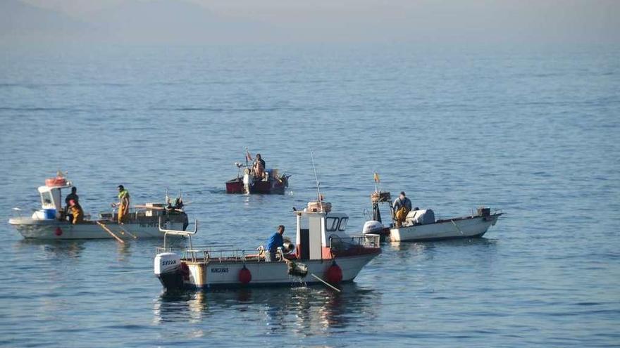 Marisqueo a flote frente al arenal de Rodeira. // Gonzalo Núñez